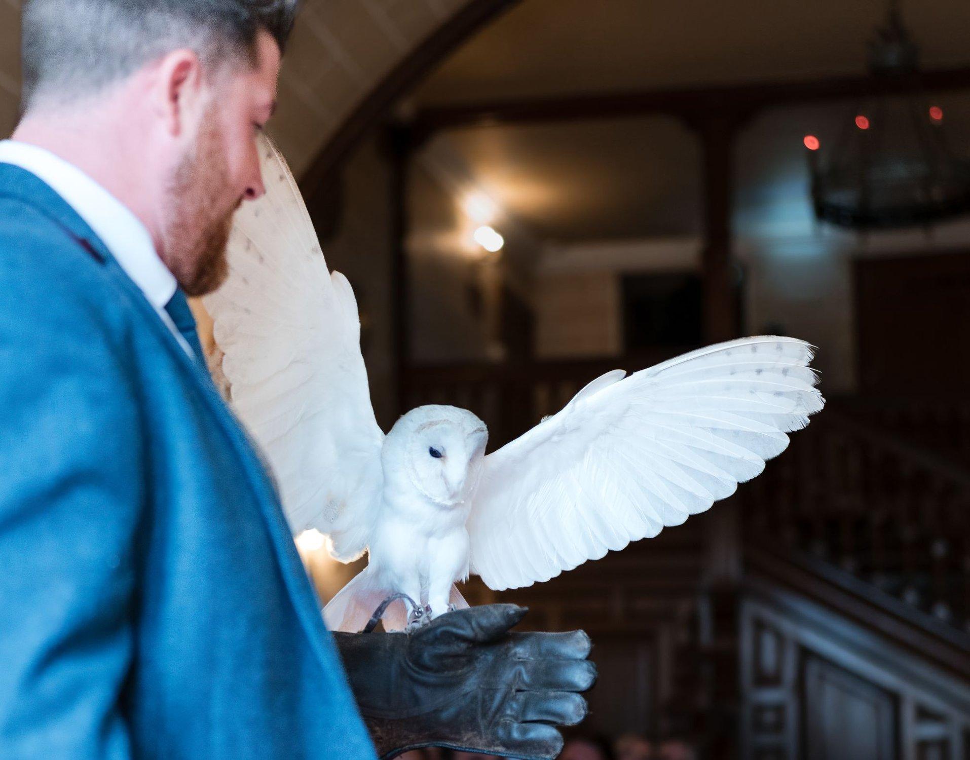 carousel-hero-element image-9